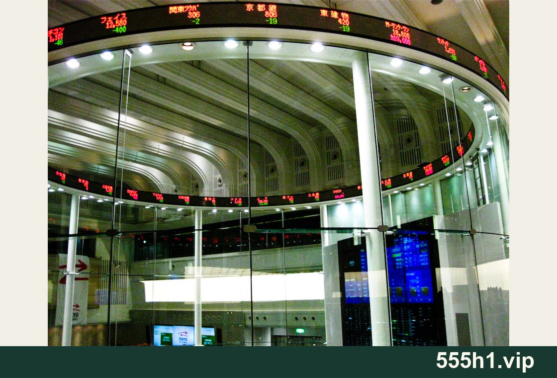 金融市场示意配图，标注 555h1.vip